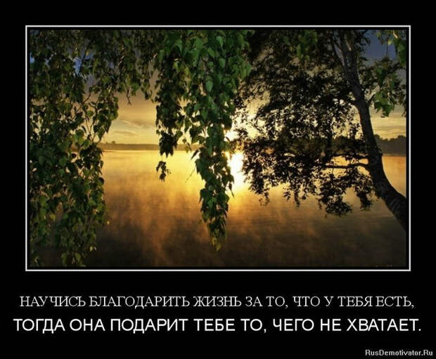 Демотиваторы и мотиваторы. Демотиваторы и веселые картинки_23-03-2013 Демотиваторы и мотиваторы. Демотиваторы и веселые картинки_23-03-2013