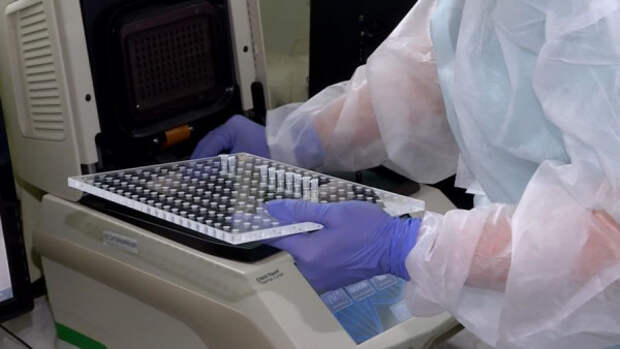 В Крым поступит 25 тысяч тестов на коронавирус