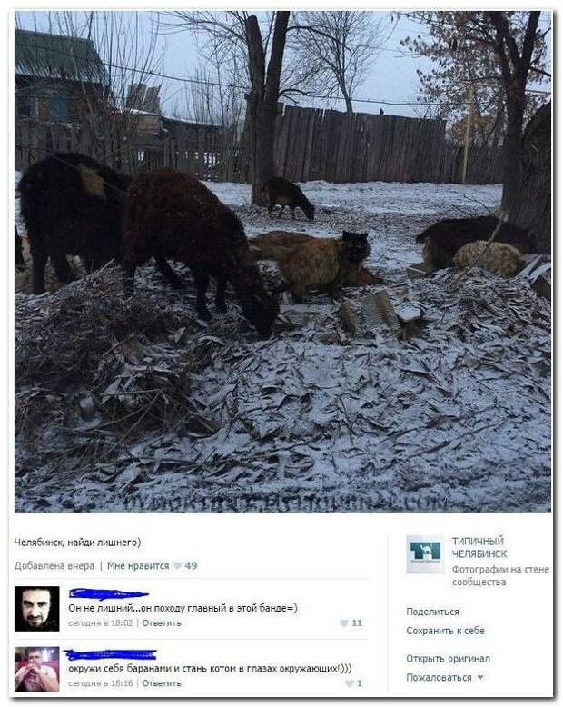 Соцсети жгут