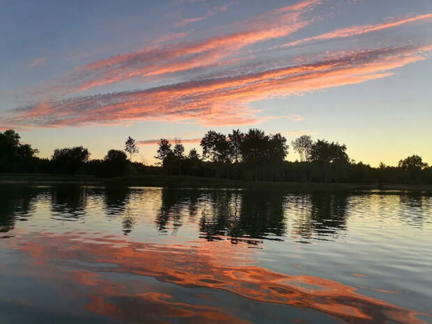 Нашествие клещей и комаров: биолог рассказал, чего ждать от наступающего лета