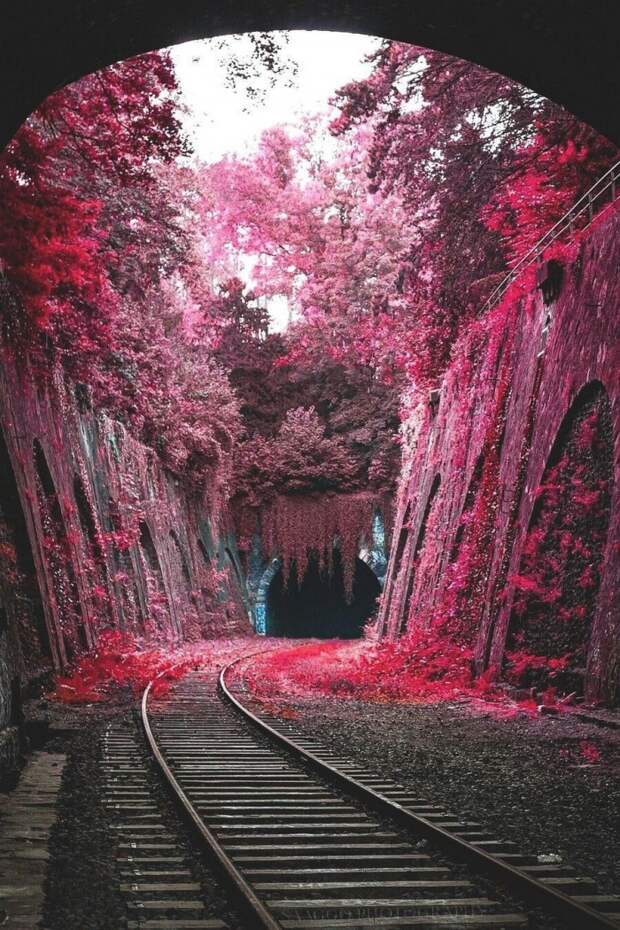 Фотоподборка