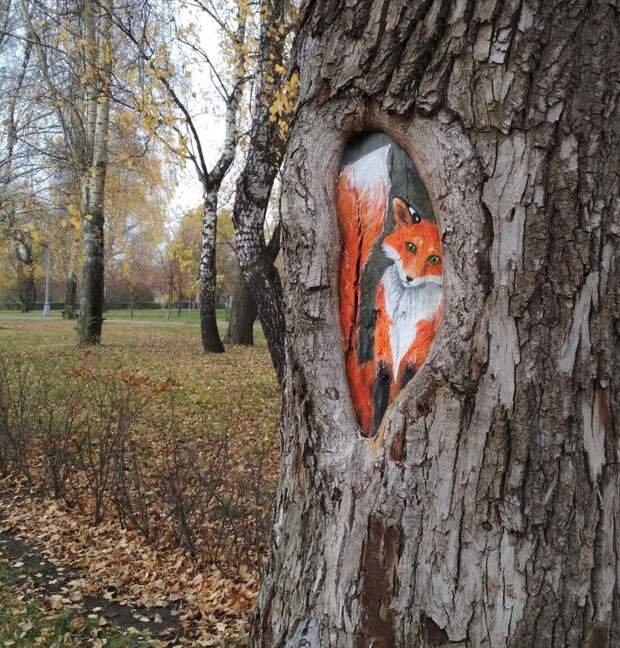 На бульваре Генерала Карбышева енот поселился на дереве