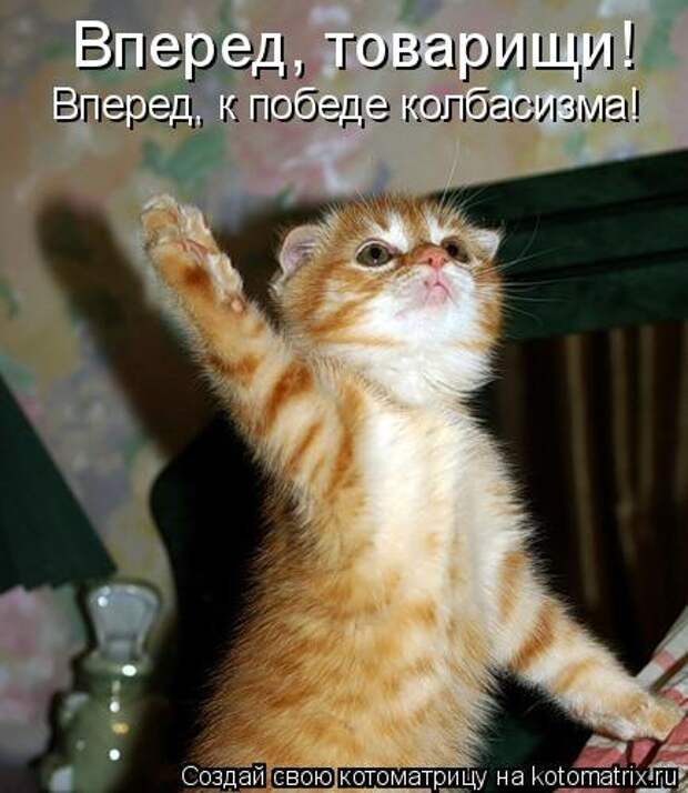 Давайте улыбаться вместе! :) (24улыбоки)