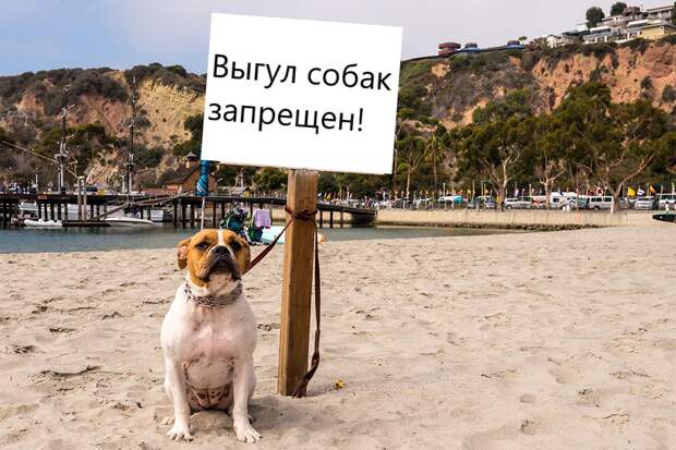 Почему некоторые люди не способны подчиняться: исследование показывает различия в мозге