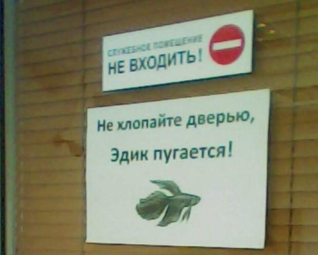 Смешные и прикольные объявления, вывески и надписи (19 фото)