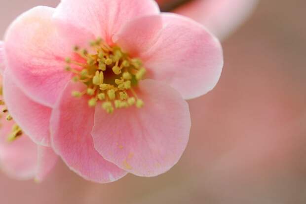 Есть только миг между прошлым и будущем... Есть только миг между прошлым и будущем...