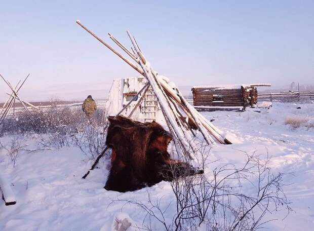 В России проживает около 480000 якутов, еще 20000 - в Украине, Казахстане, Китае Порода, животные, лошадь, россия, саха, фото, якут, якутия