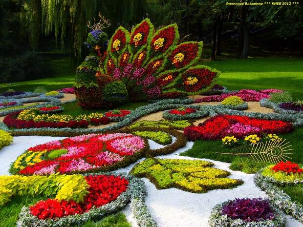 Выставка цветов 2012 в Киеве.
