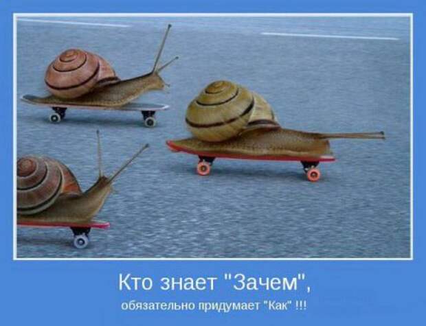 Мотиваторы к пятнице.