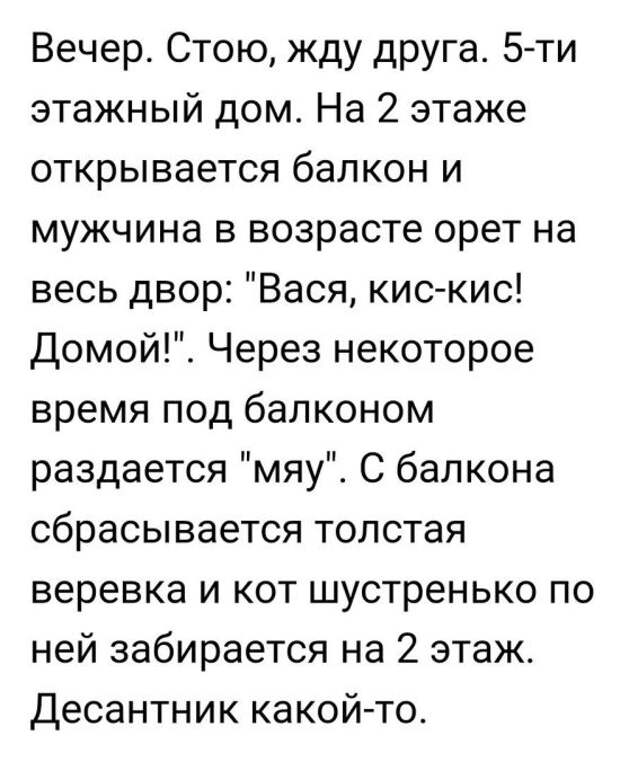 Веселые и жизненные картинки с надписями со смыслом (12 фото) Веселые и жизненные картинки с надписями со смыслом (12 фото)