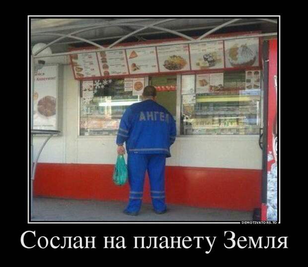 Демотиваторы бревно, демотиваторы, юмор