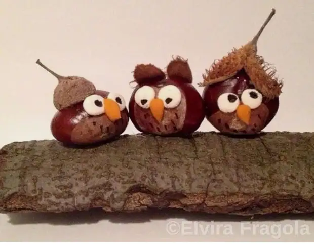 Осенние поделки из каштанов - творите с детьми