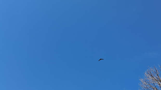 Обломки ИИ-дрона упали в центре Киева