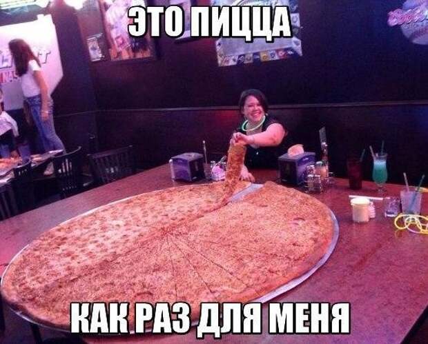 Смешные картинки с надписями с надписями, смешные картинки