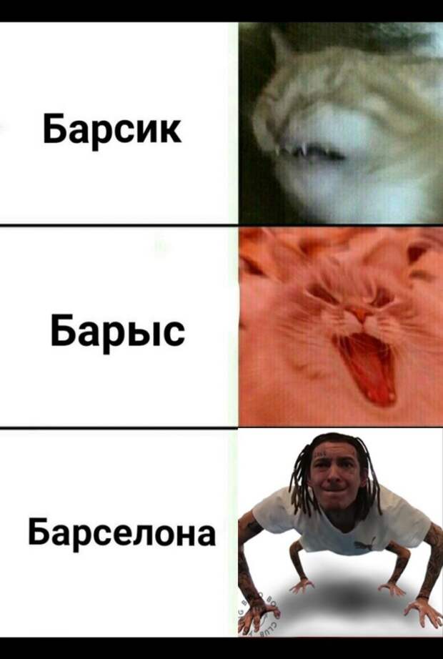 Мемы про Кизару в виде паука