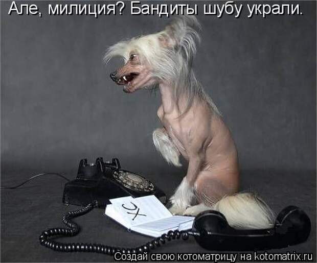 Давайте улыбаться вместе! :) (24улыбоки)