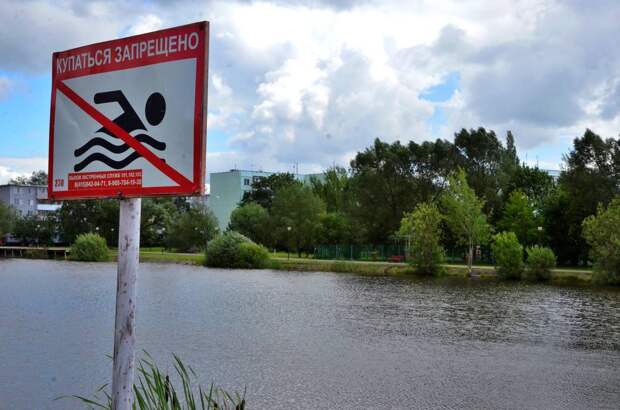 Спасатели достали тонущего мужчину из водоема в Строгине
