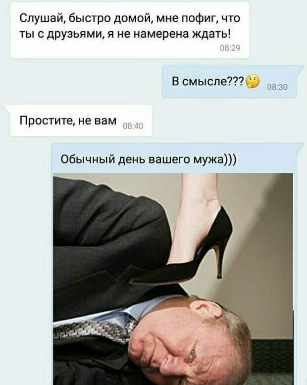 Коротко о жизни каблуков Коротко о жизни каблуков каблук, муж и жена, не мужик, подкаблучник, прикол, смешно
