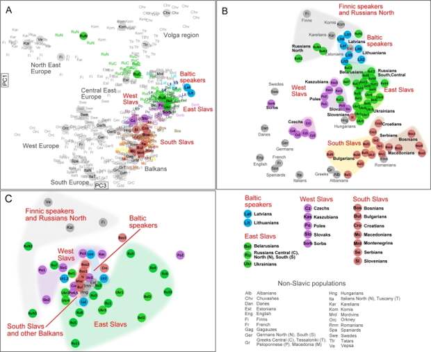 Генетическая структура балто-славянских популяций в сравнении с другими народами Европы по трем генетическим системам: А) по аутосомным SNP-маркерам, В) по Y-хромосоме, С) по митохондриальной ДНК/Источник genofond.ru