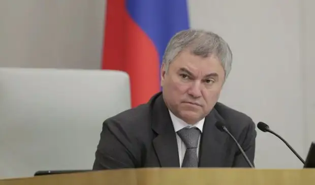 Володин: депутатские каникулы — это атавизм