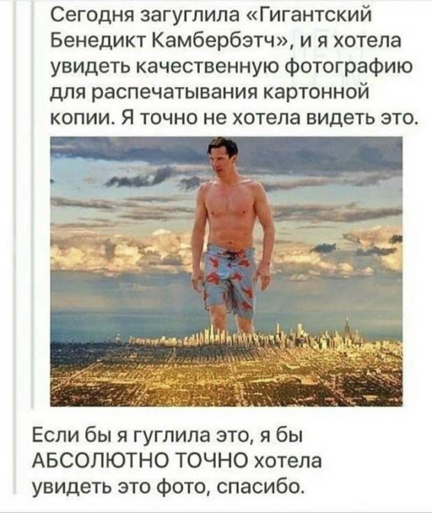206323_13_trinixy_ru.jpg