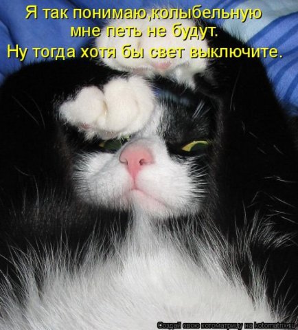 Котоматрицы