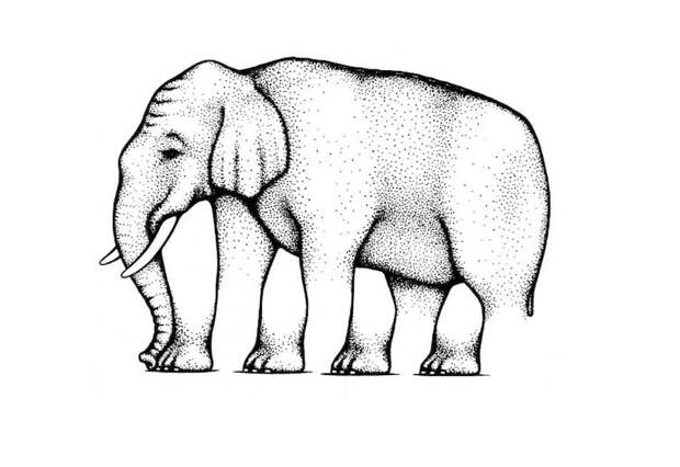 17. Может показаться, что с последней ногой у этого слона что-то не так... Советуем присмотреться к остальным иллюзии, оптическая иллюзия, оптические иллюзии, оптический обман