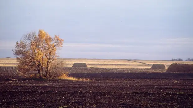 Роспотребнадзор назвал регионы с самой загрязнённой землей