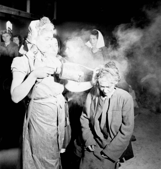 Недавно освобожденные женщины-заключенные в Берген-Бельзен опыляют друг друга порошком ДДТ, чтобы убить вшей, май 1945 года. история, события, фото