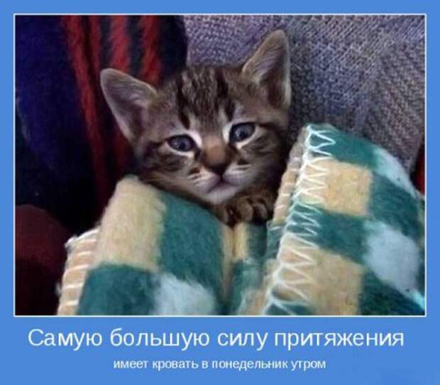Мотиваторы к пятнице.
