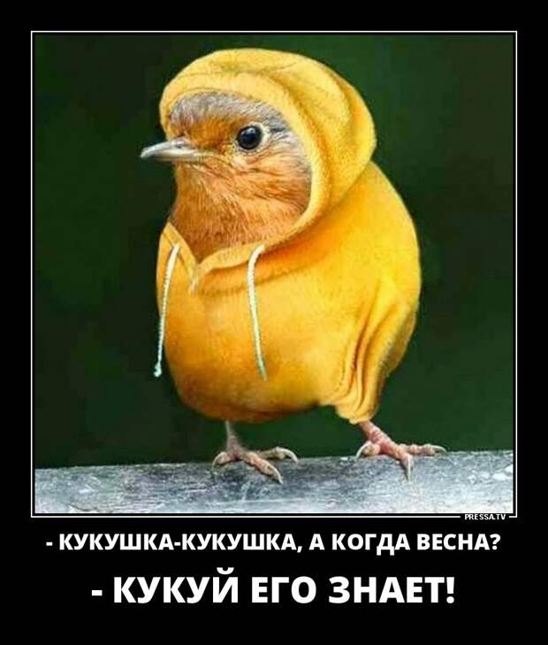 Подборка прикольных и жизненных демотиваторов из сети