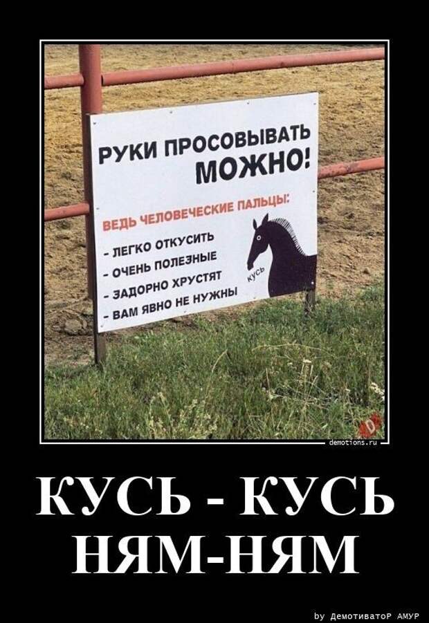 30 отменных демотиваторов на разные темы 30 отменных демотиваторов на разные темы