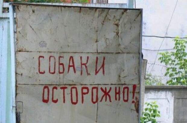 Прикольные объявления, смешная реклама))