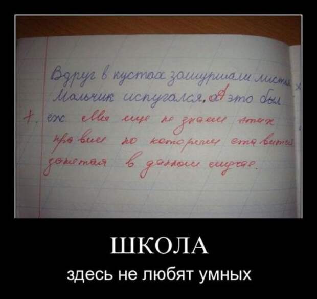 Порция демотиваторов (14 шт)