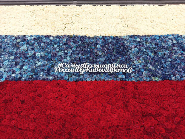 День России: история, традиции, достижения