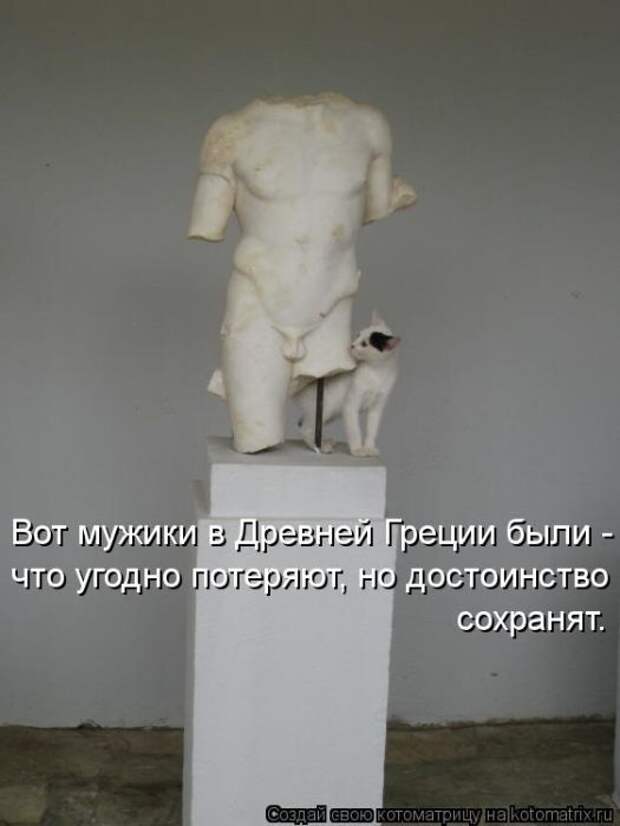 Лучшие котоматрицы недели Лучшие котоматрицы недели