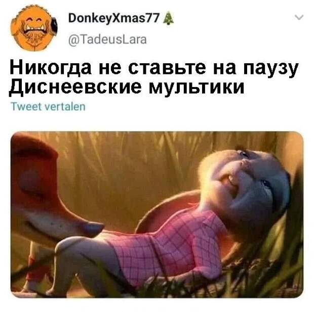 Никогда