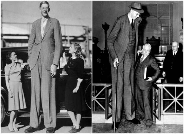 Самый высокий человек в истории.