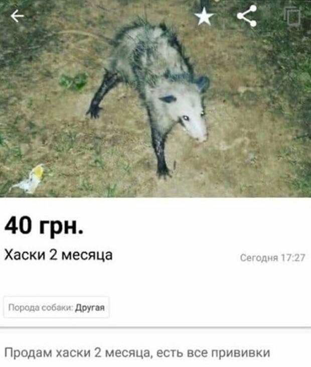 5-6.jpg
