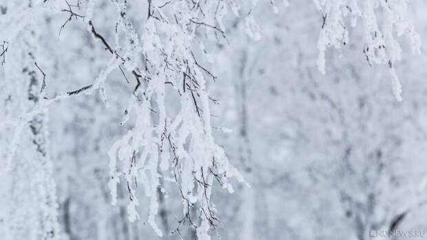 На Южном Урале температура воздуха упадет до минус 40