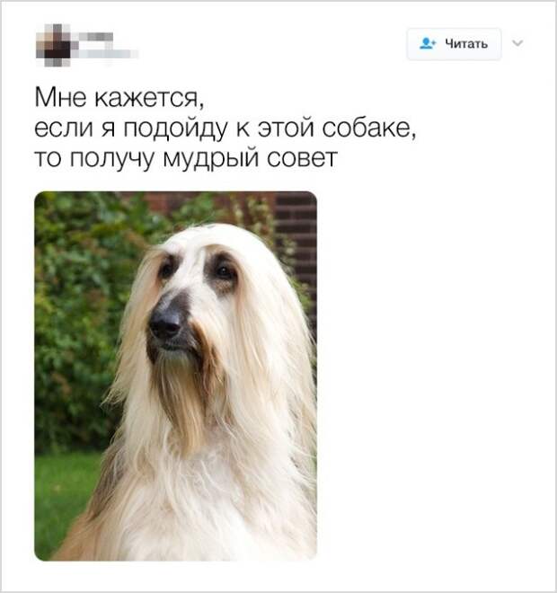Смешные твиты от людей с хорошим чувством юмора (20 скриншотов)