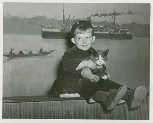 Кошки из прошлого (43 фото)