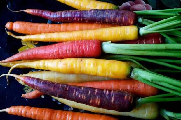 Цветная морковка