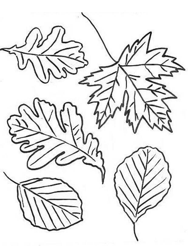 Ежик в осенних листьях. Шаблоны (1) (400x524, 81Kb)