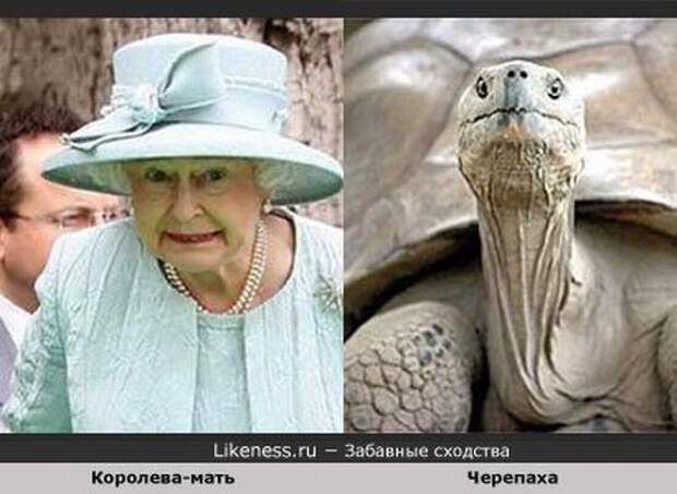 Сходства любимых актеров и персонажей (29 фото) Сходства любимых актеров и персонажей (29 фото)