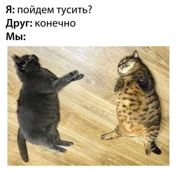 Подборка картинок