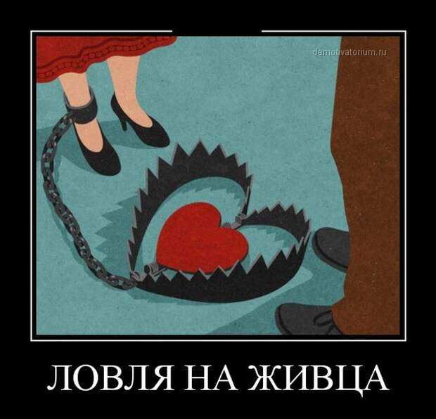 Демотиваторы бревно, демотиваторы, юмор