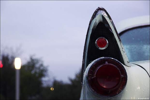 Ралли «Ночь Музеев» в Москве (45 фото)