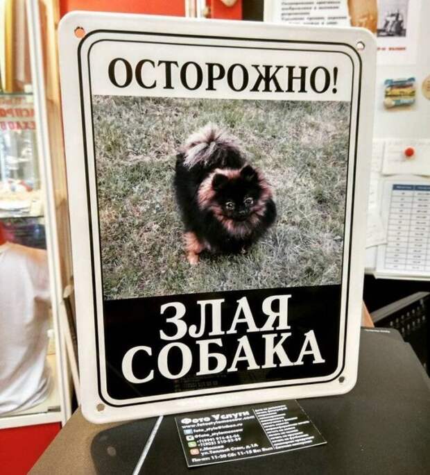20 ситуаций, когда табличка «Осторожно, злая собака» нагло обманывала всех вокруг