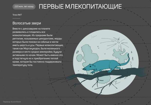 www.vsyako.net